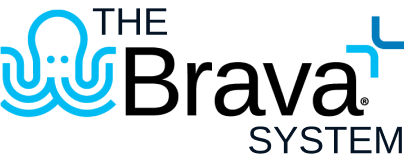 Brava+ System components and technology overview